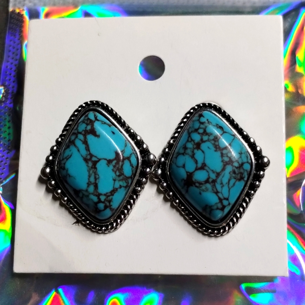 Big Stud Earrings